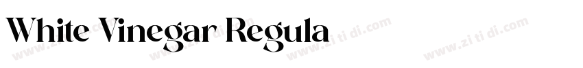 White Vinegar Regula字体转换